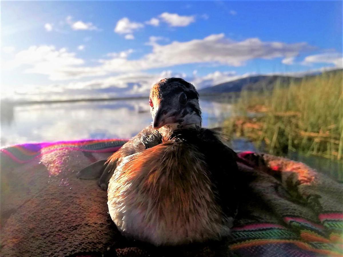 A Pousada Titicaca Puno Exterior foto